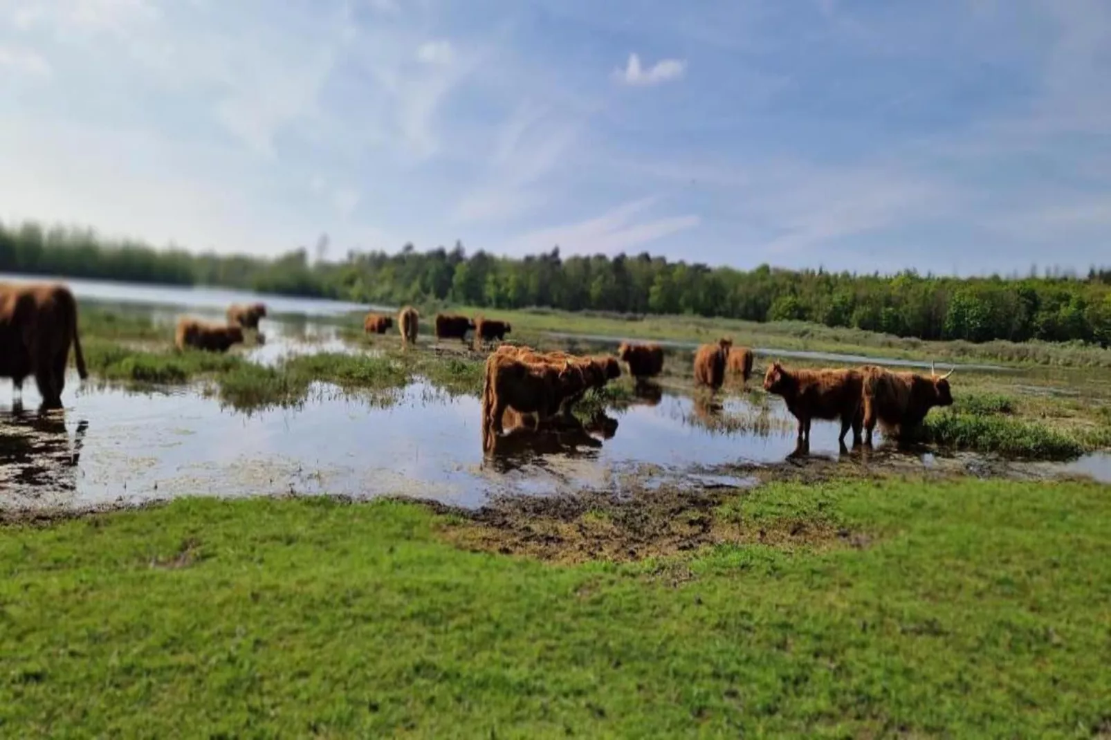 Romantisch Heiloo-Areas within 20km in summer