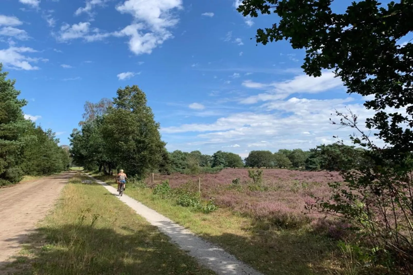 Ons Nestje-Zones été à 20 km
