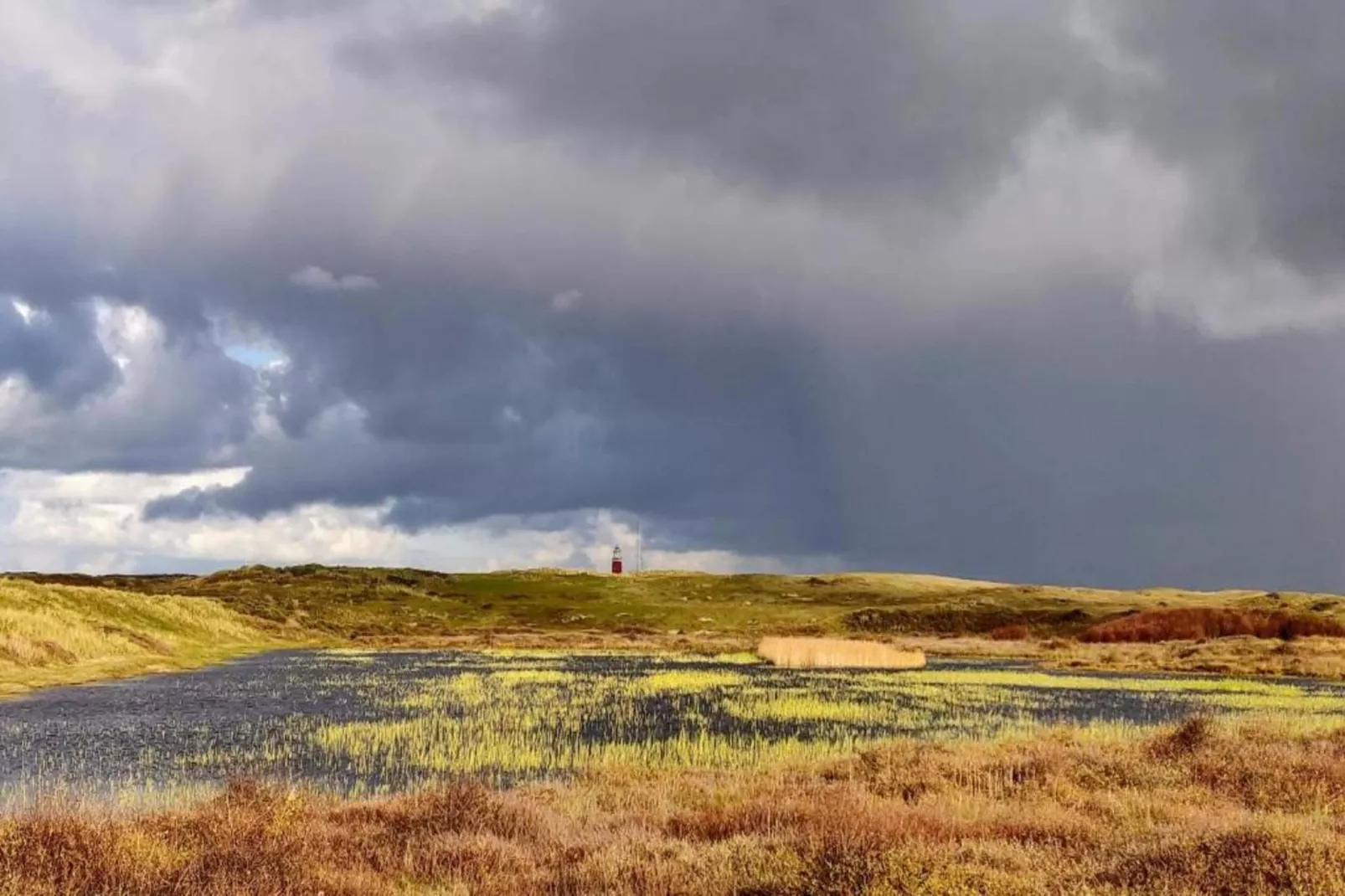 Kustpark Texel 3-Gebiete Sommer 20 km