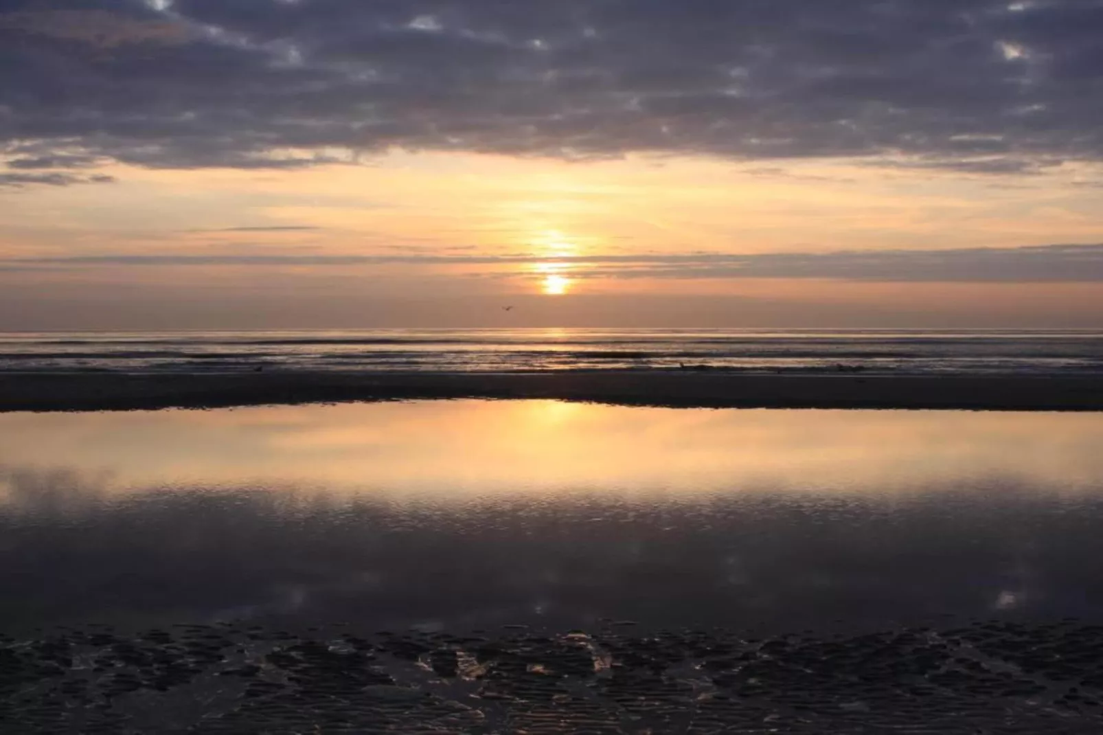 Residentie Californië 6-Zones été à 20 km