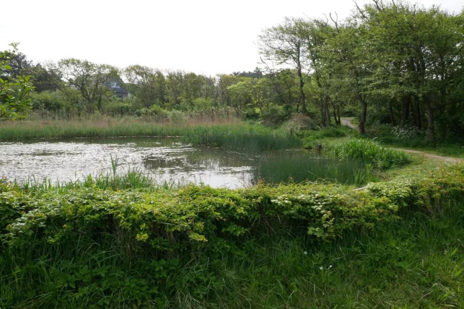 Huize Glory Robijn-Areas within 20km in summer