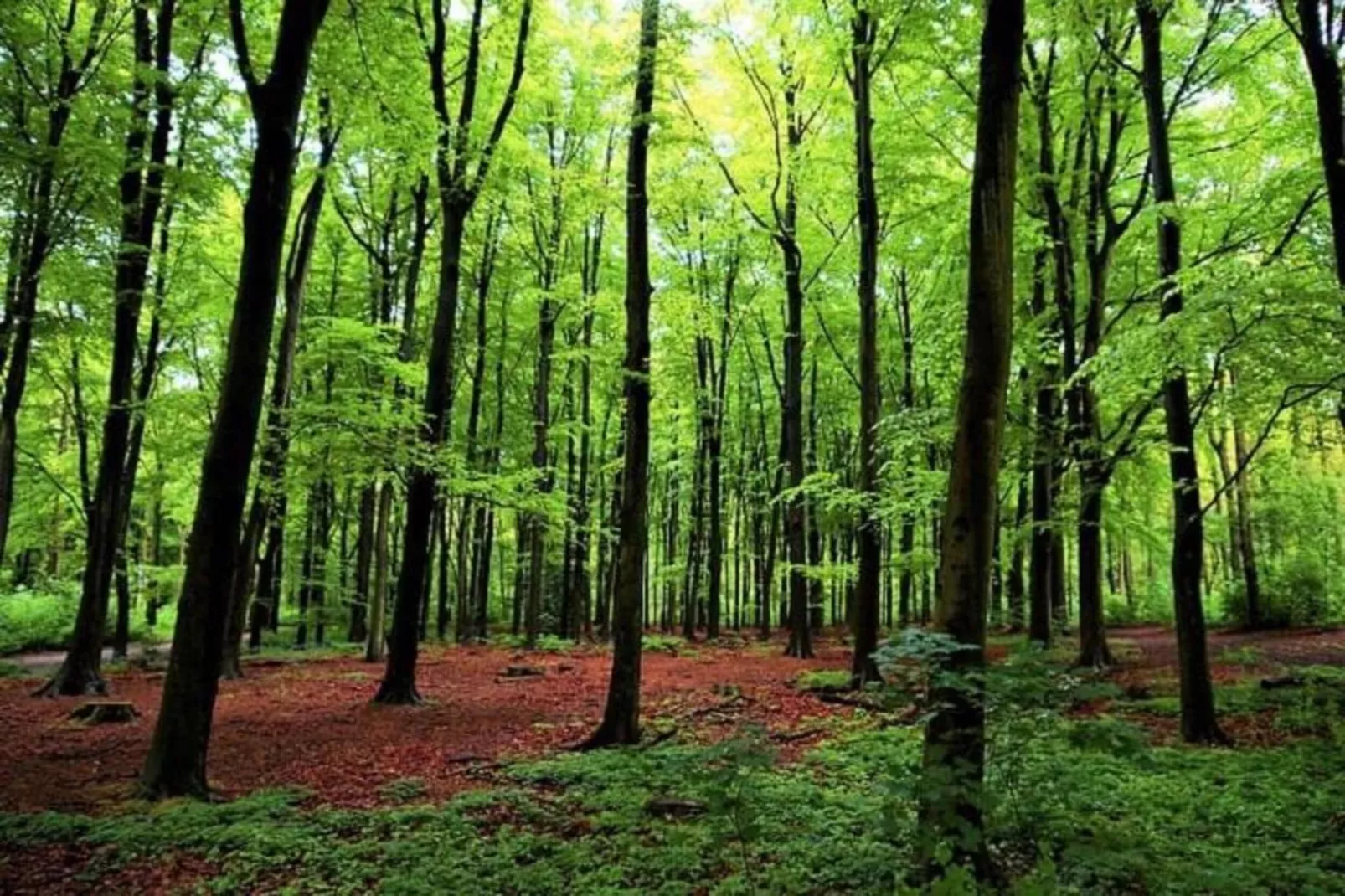 Vakantiepark Kijkduin 10-Areas within 20km in summer