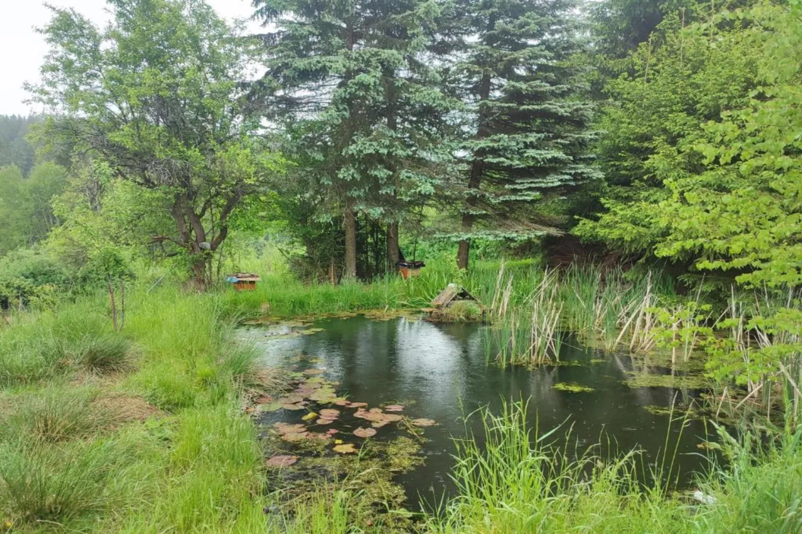 Vakantiepark de Tabaksschuur 2-Areas within 20km in summer