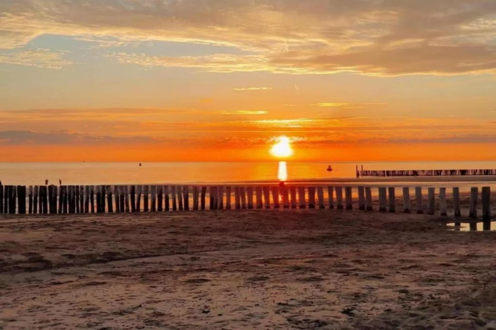Noordzee Résidence Dishoek 11-Areas within 5km in summer