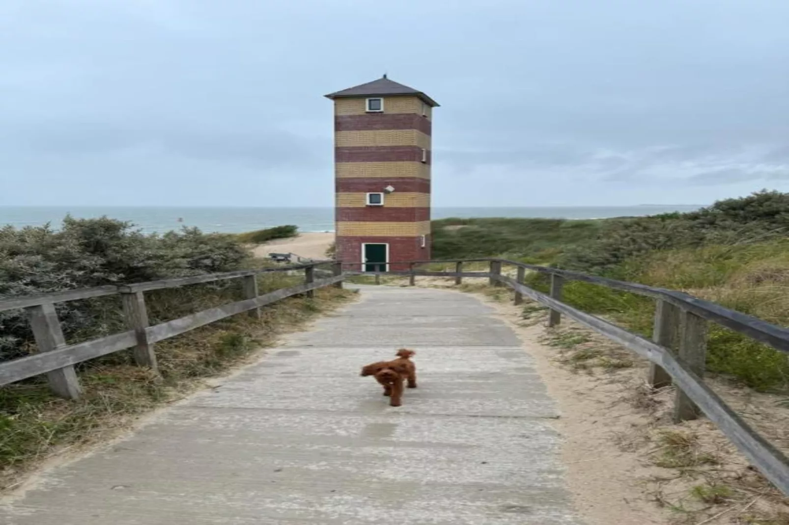 Noordzee Résidence Dishoek 3-Areas within 5km in summer