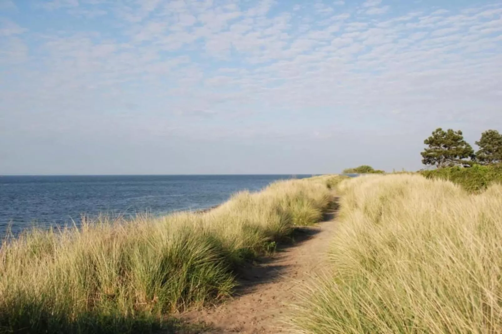 Domein het Camperveer Veerse Meer 3-Areas within 5km in summer