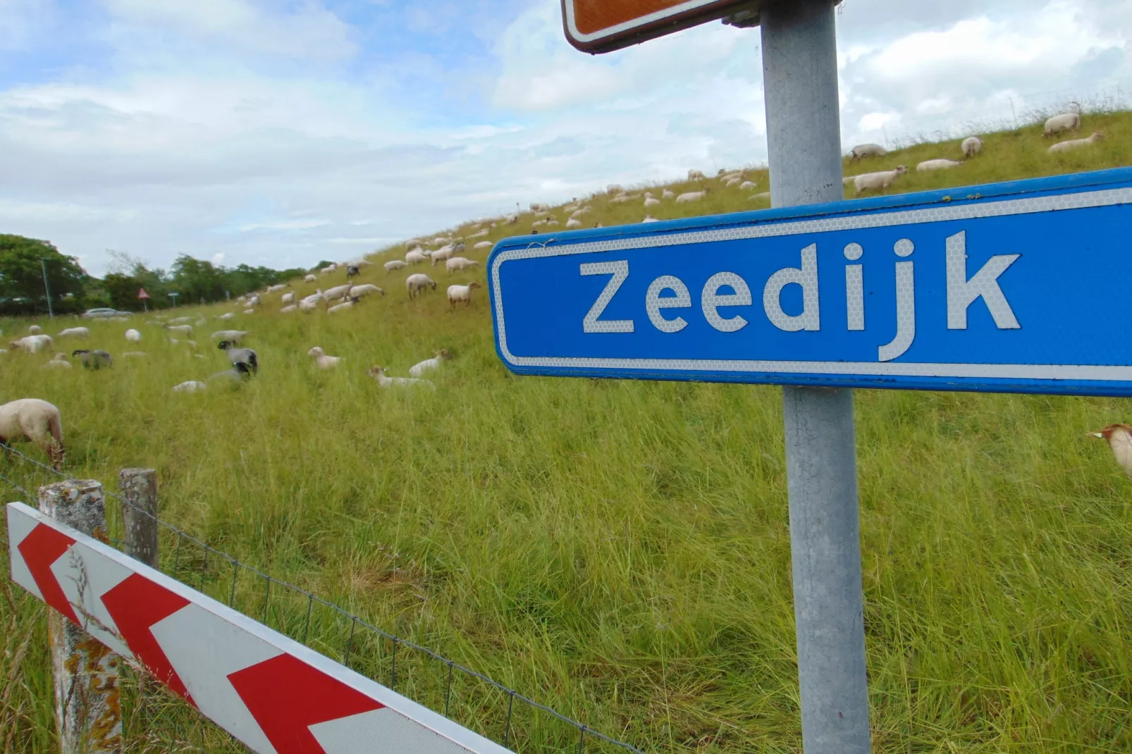 't Schuurtje-Zones d'été à 1 km