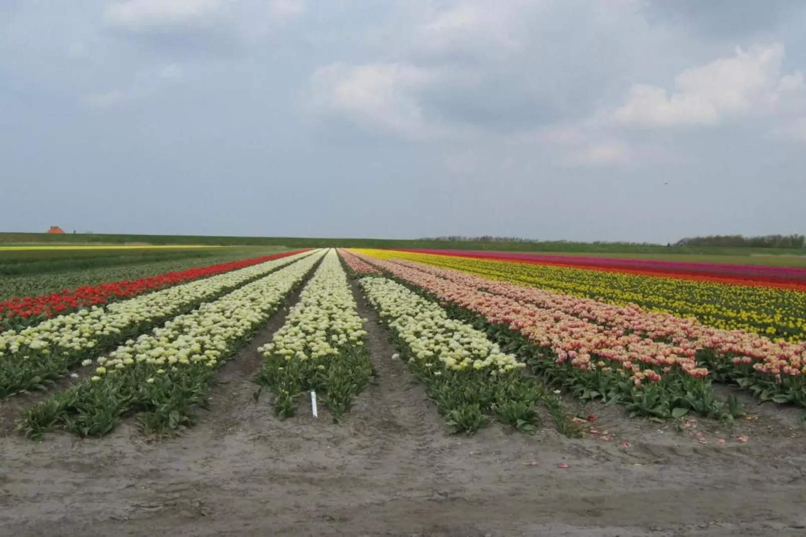 Hoeve Stolpwijk-Gebiete Sommer 20 km