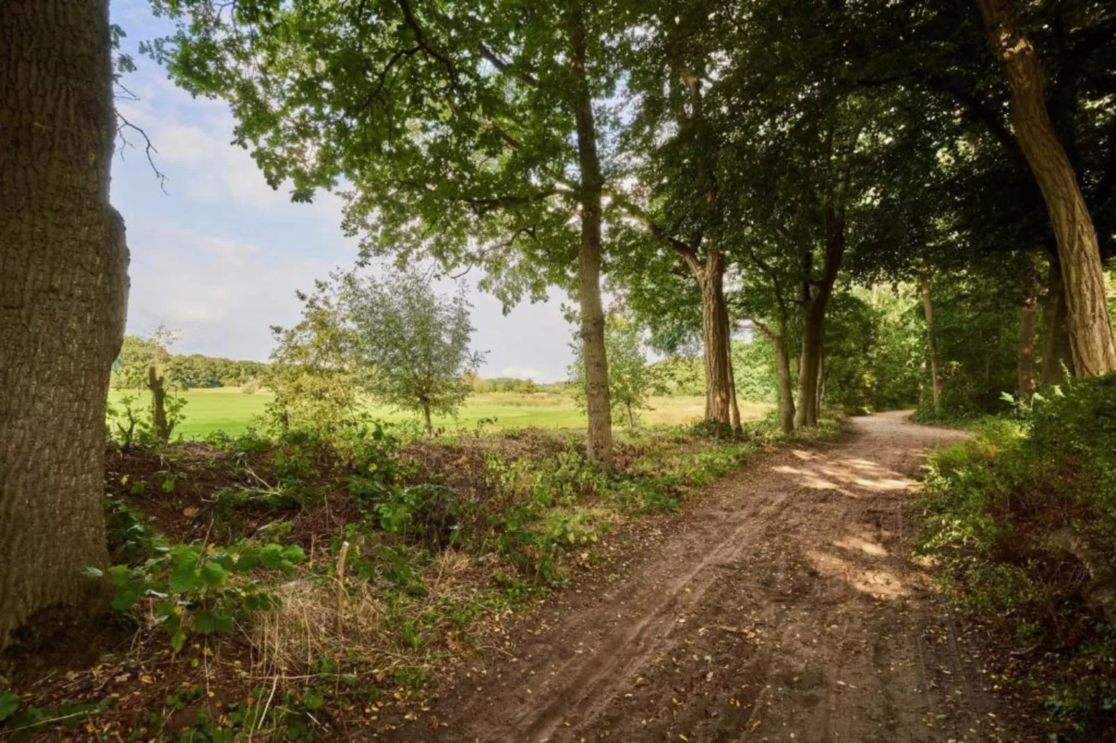 Vakantiepark de Katjeskelder 19-Areas within 5km in summer