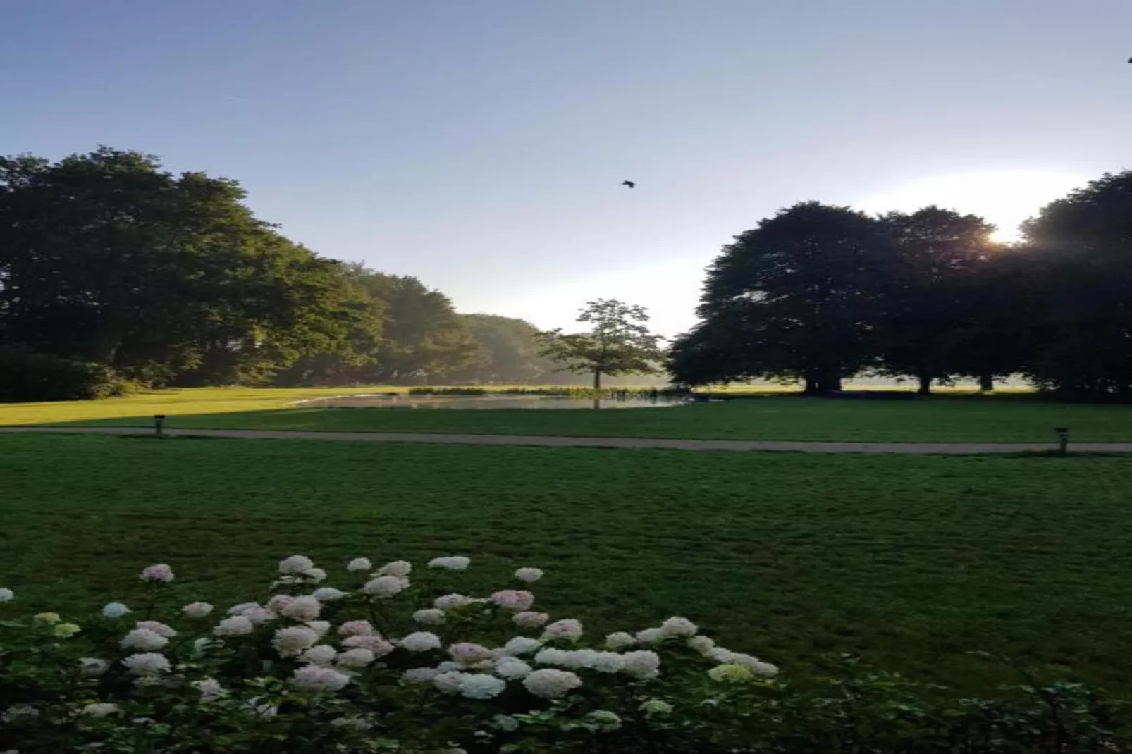 Parc de Kievit 3 - Areas within 20km in summer