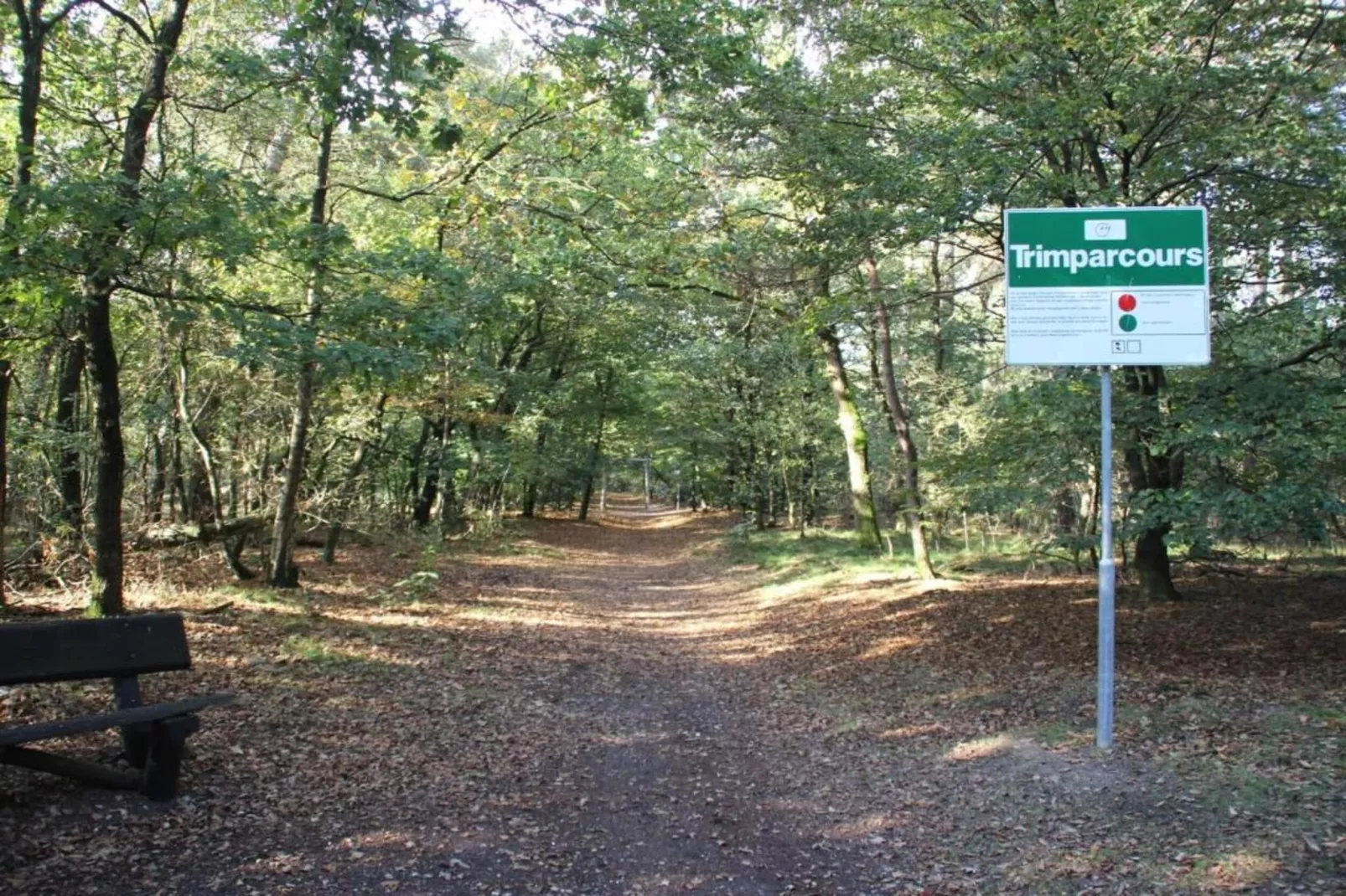Vakantiepark Sandberghe 3-Areas within 20km in summer