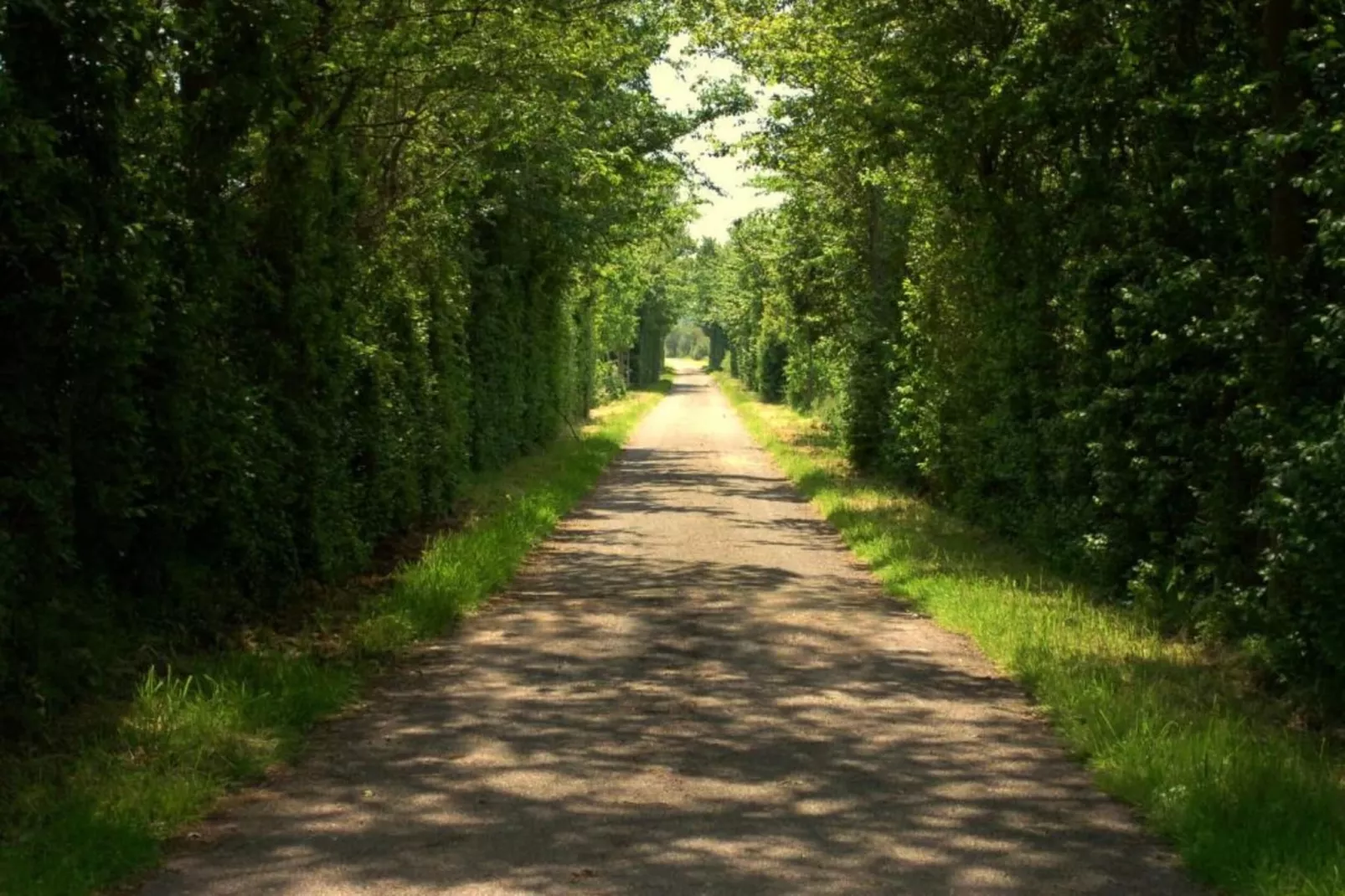 De Grutto-Zones été à 20 km