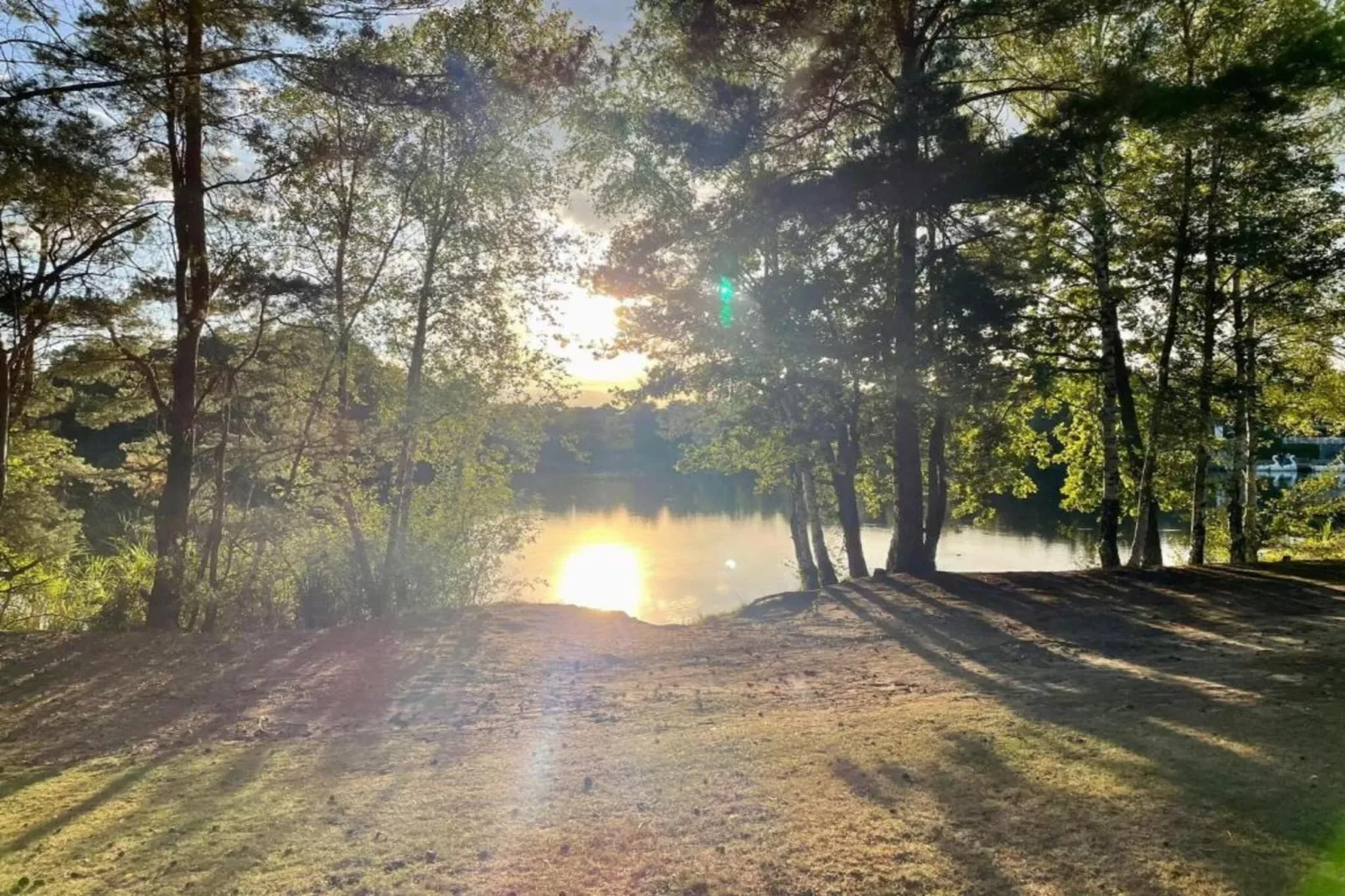 Bospark 't Wolfsven 18-Gebiete Sommer 5 km