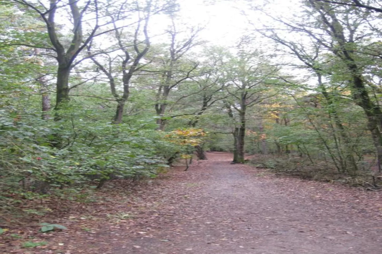 Park De Peel 2-Areas within 20km in summer