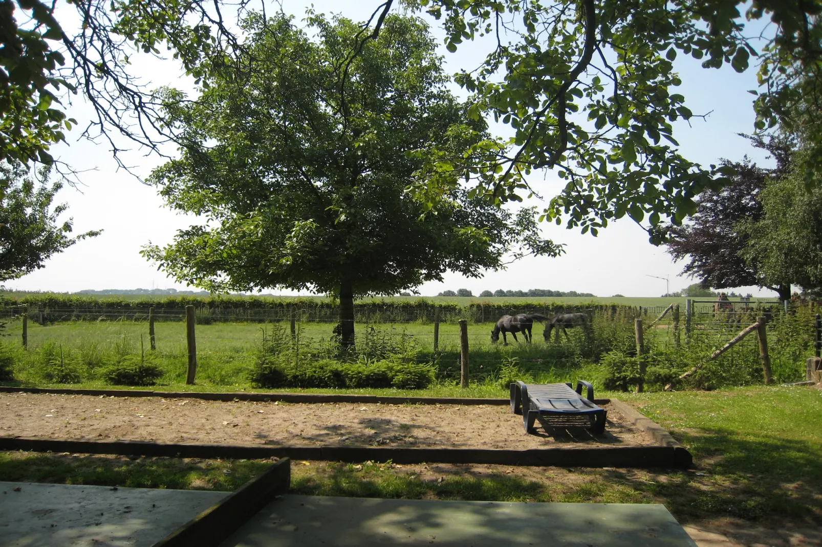 Meschermolen 5-View in summer