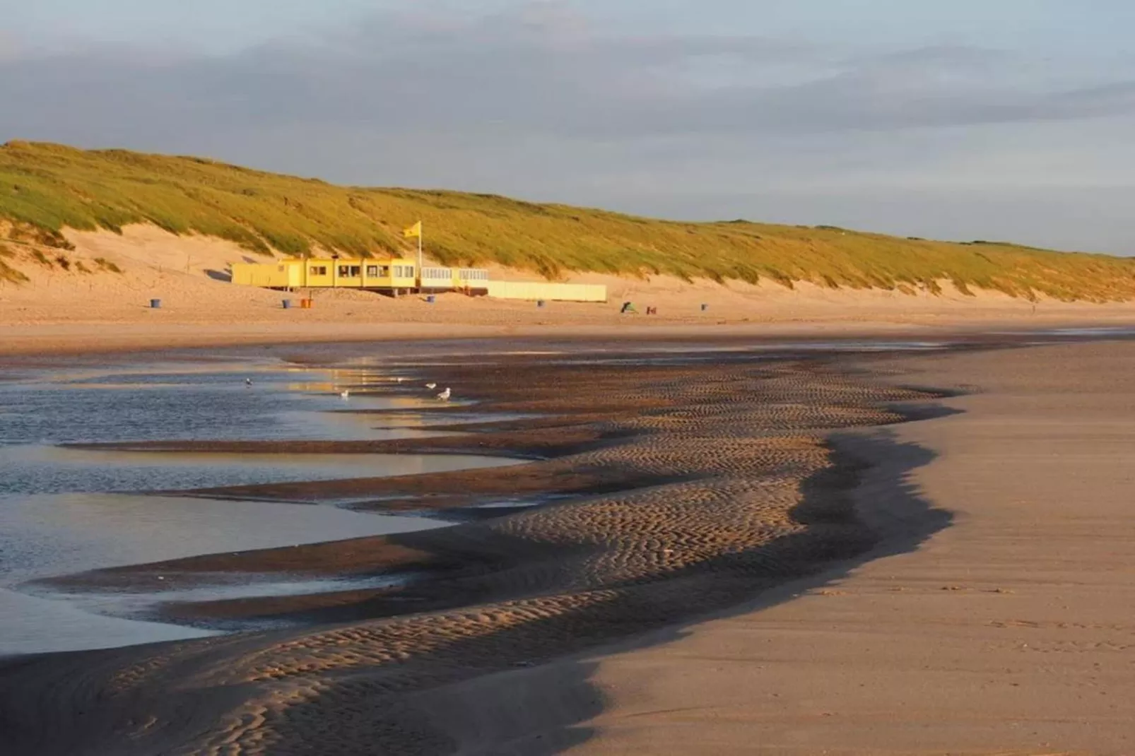 Huize Glory Amethist aan Zee-Areas within 20km in summer