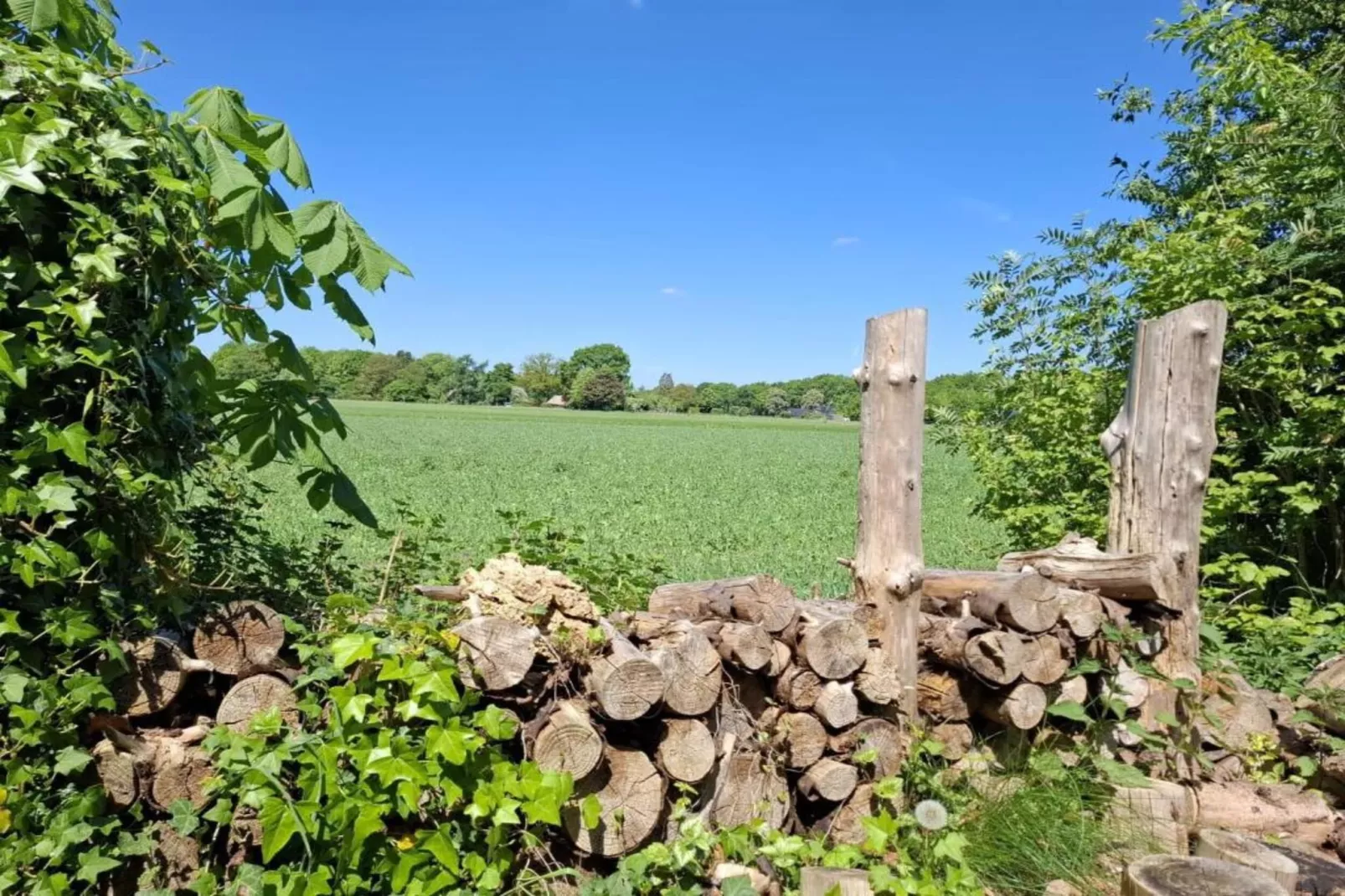 De Kibbelhoeve-Areas within 20km in summer