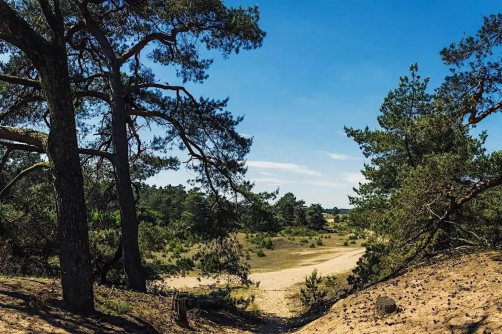 Bungalowpark Hoenderloo 2-Areas within 20km in summer