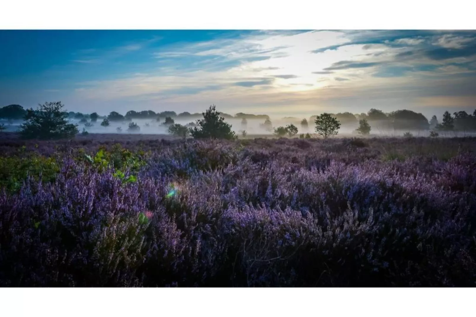 Buitenplaats Holten 8-Areas within 5km in summer