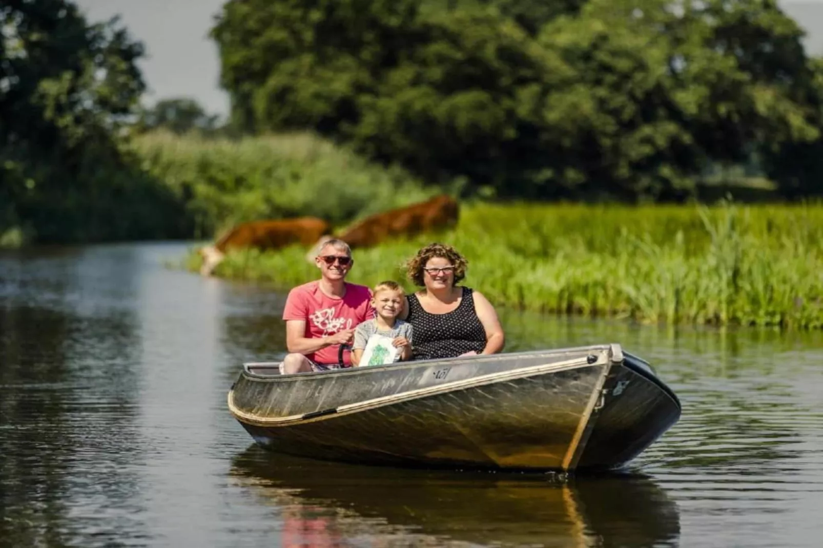 Vakantiepark Mölke 28-Areas within 20km in summer