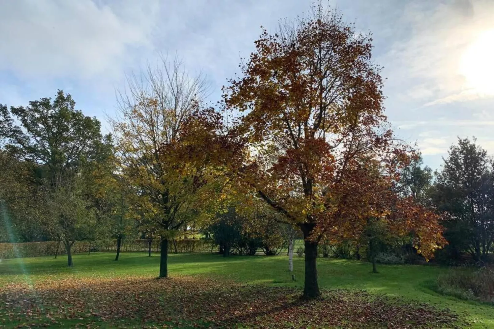 Recreatiepark Tolplas 1-Areas within 5km in summer