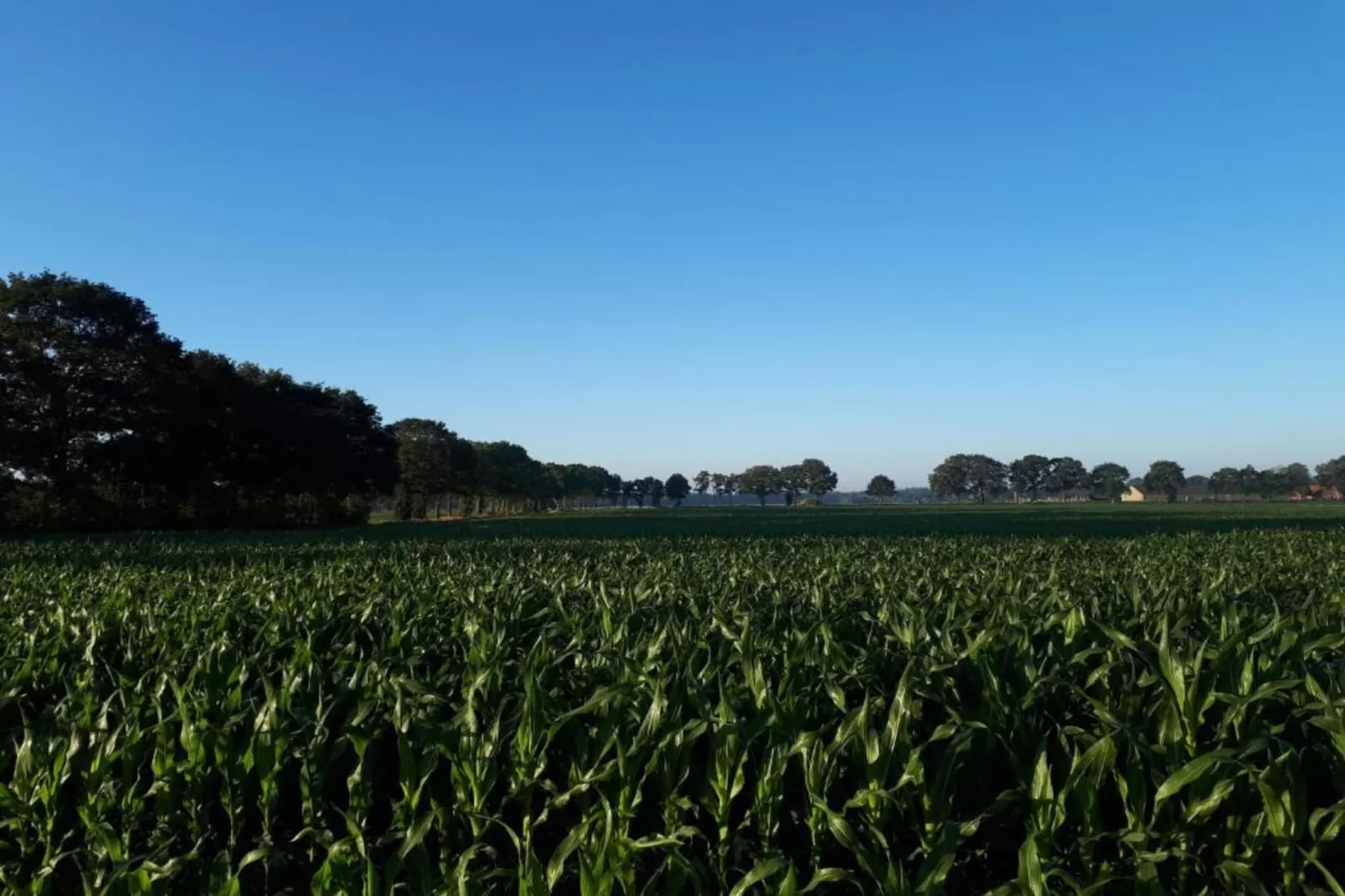 Buitenplaats Gerner 4-Areas within 20km in summer