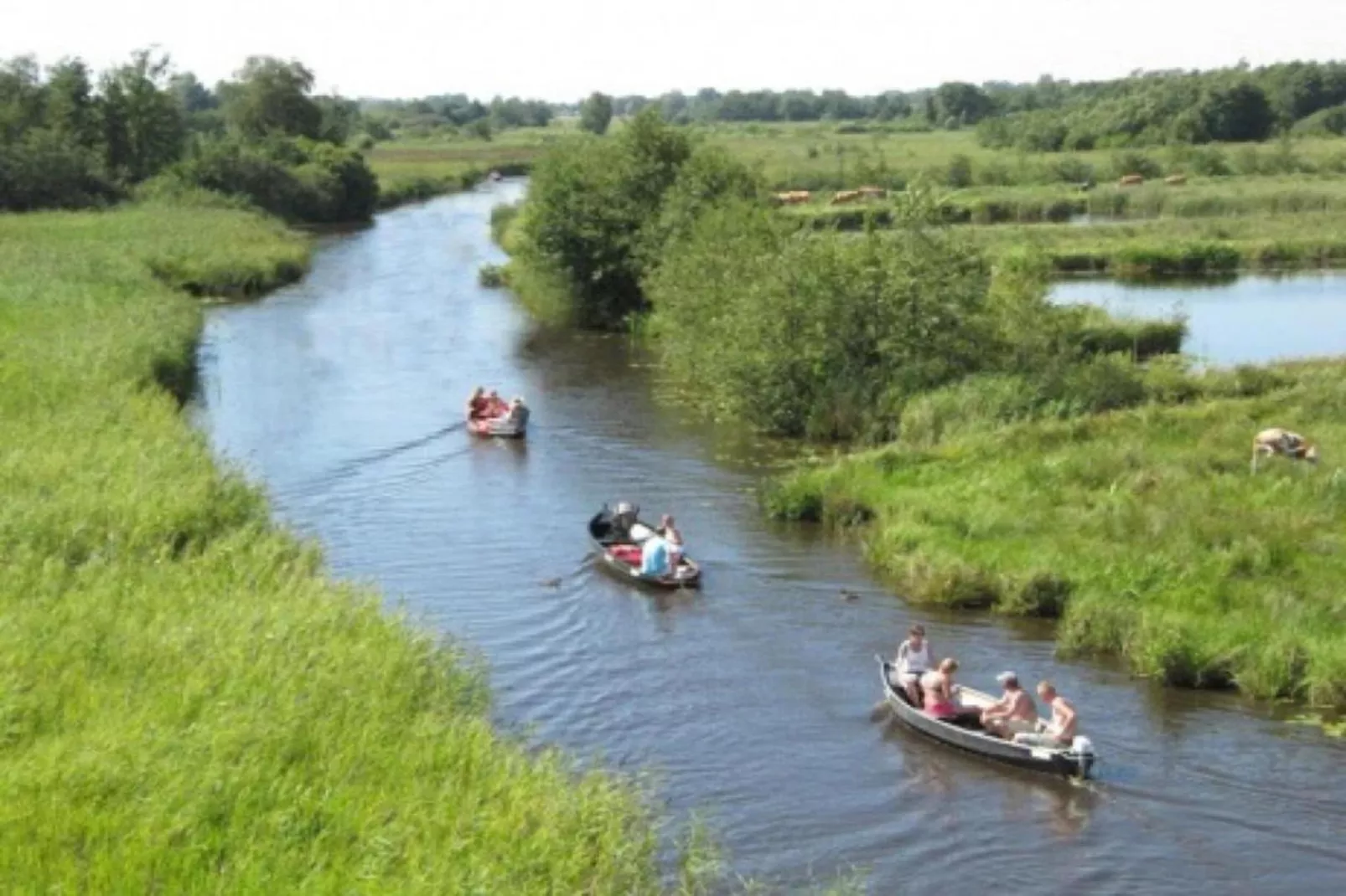 Résidence de Weerribben 4-Areas within 5km in summer