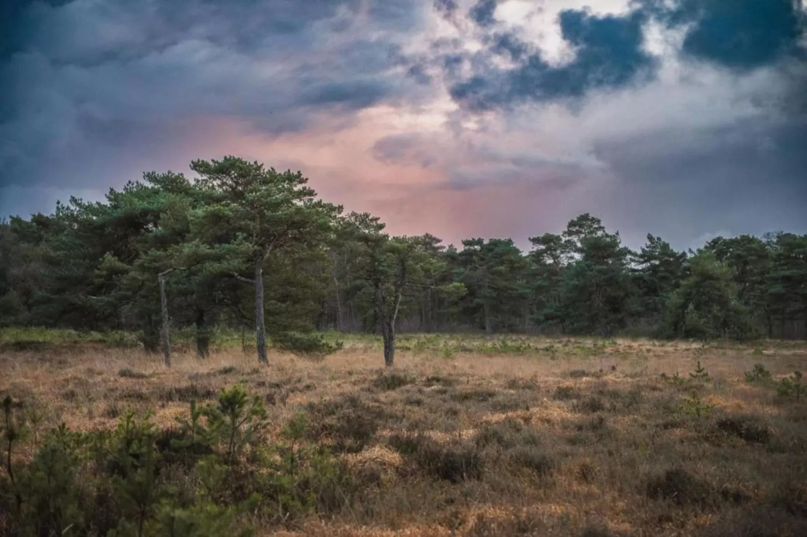 Chalet Vrijzicht-Zones été à 20 km