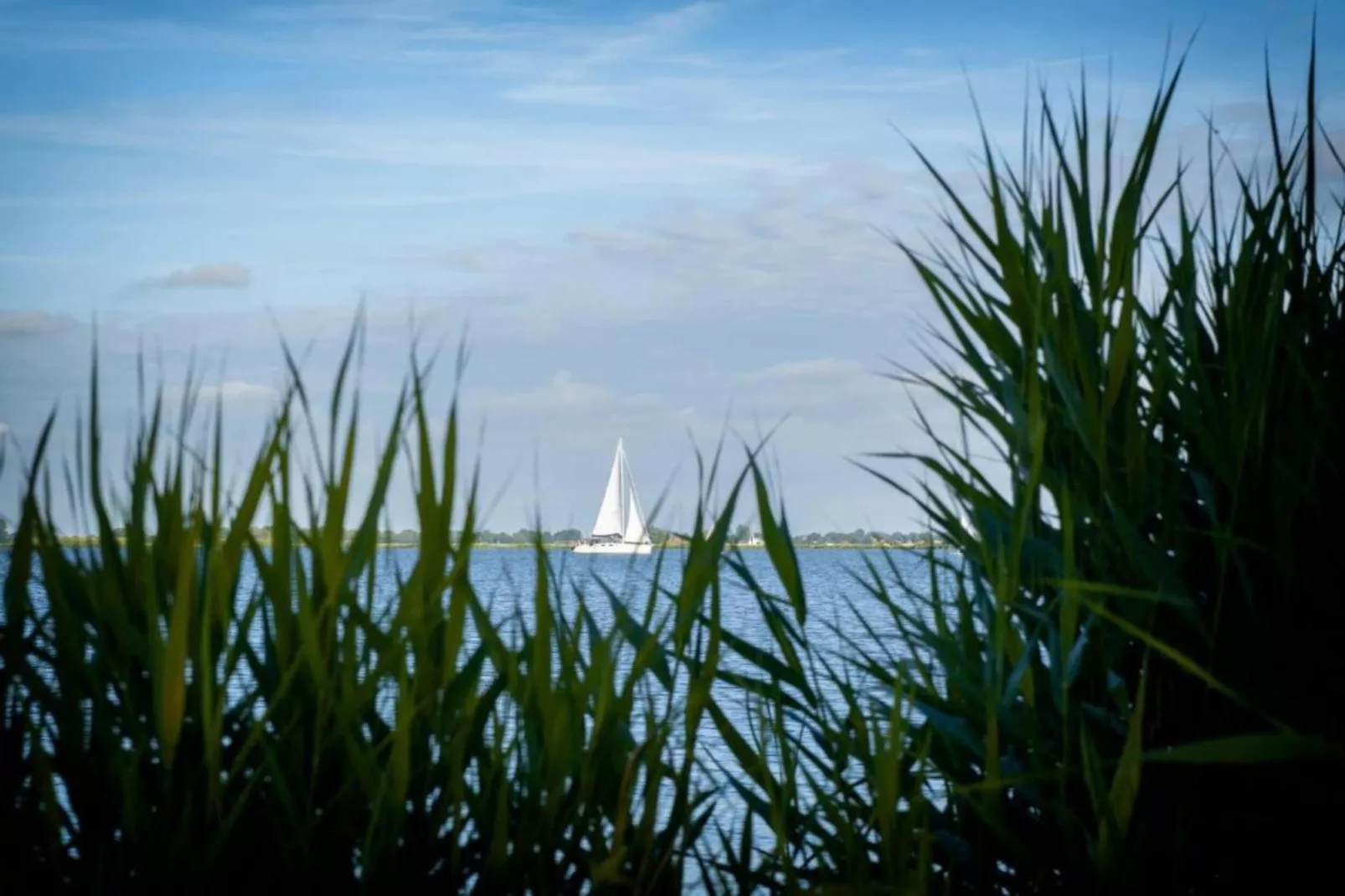 Paviljoenwei 12-24 - begane grond-Areas within 5km in summer