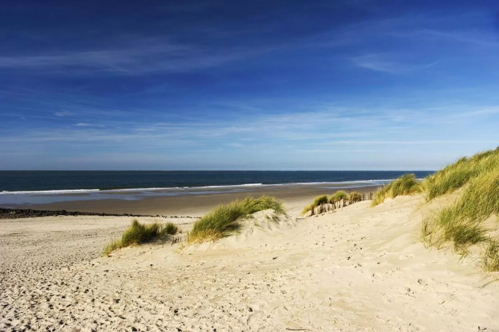 Zandlust-Areas within 5km in summer