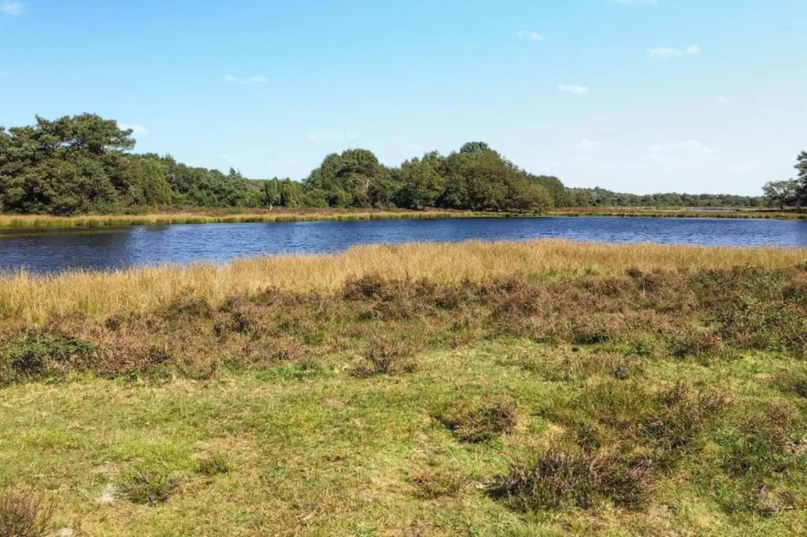 Natuurhuis Dichtbij-Areas within 5km in summer