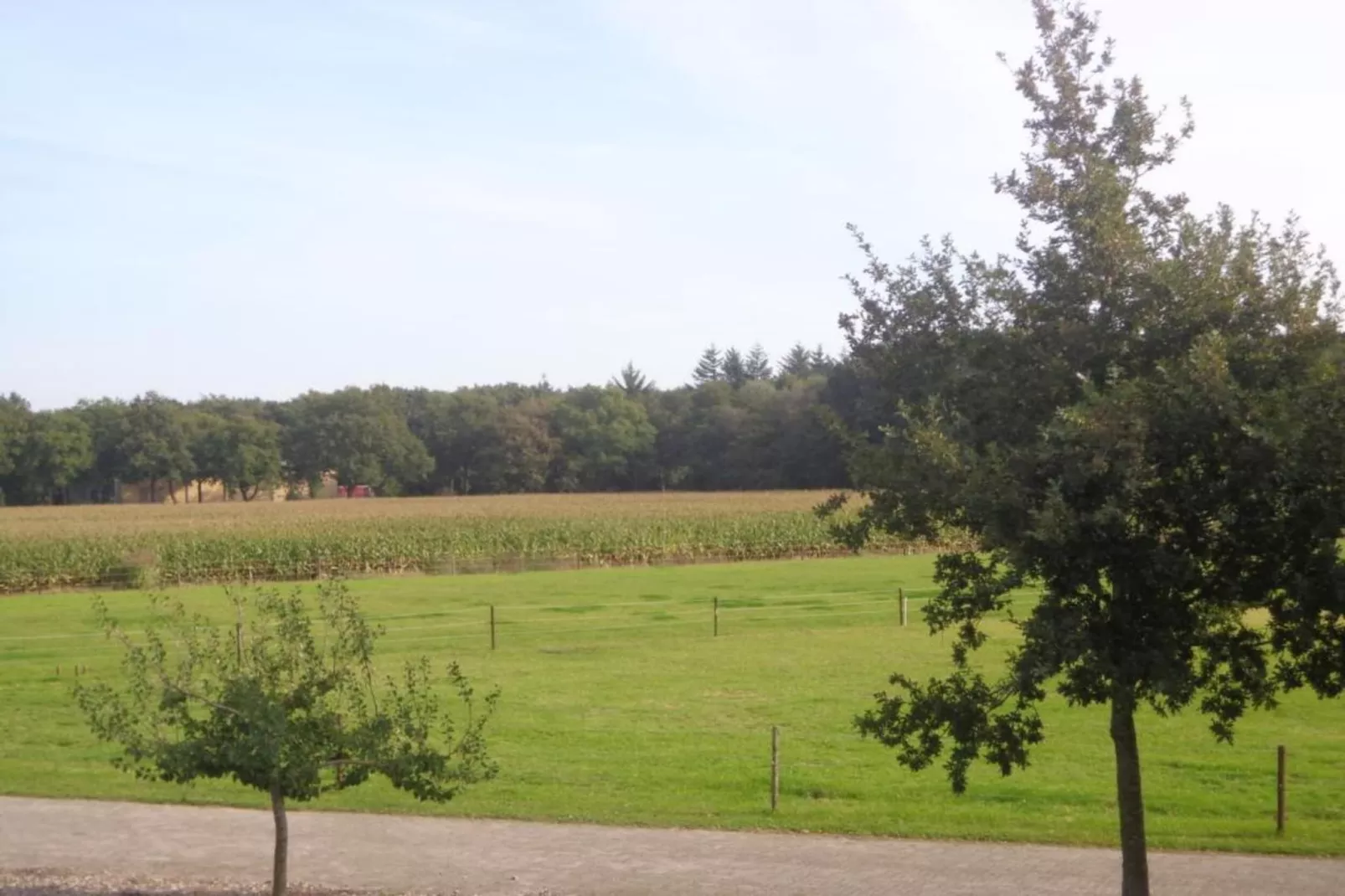 Landgoed Het Grote Zand 5-Gebiete Sommer 20 km