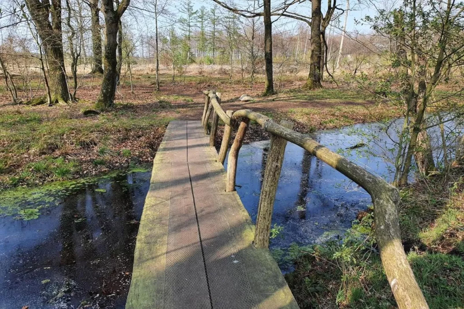De Drentsche Patrijs-Areas within 20km in summer
