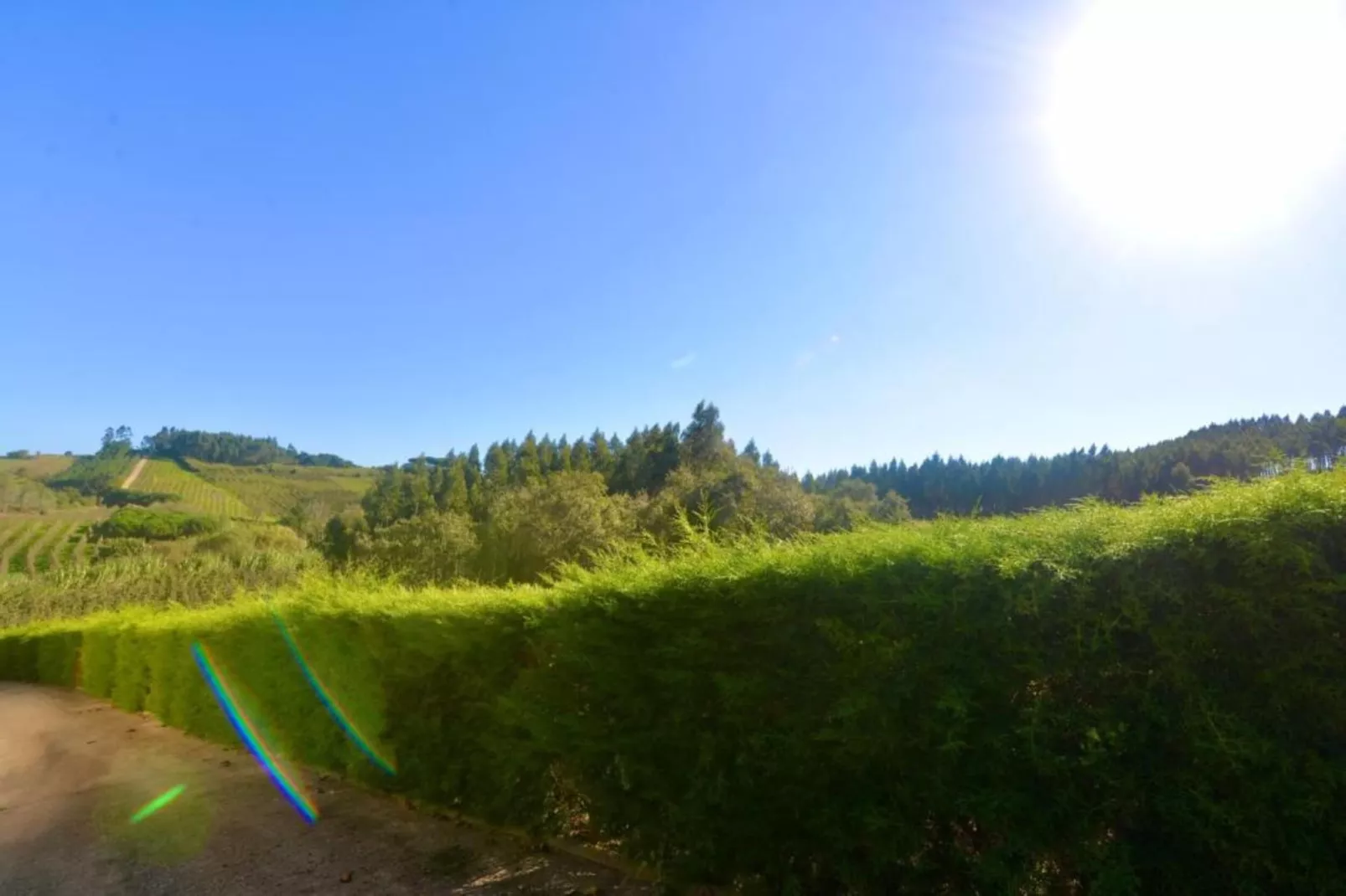 Casa do Coqueiro-Areas within 5km in summer