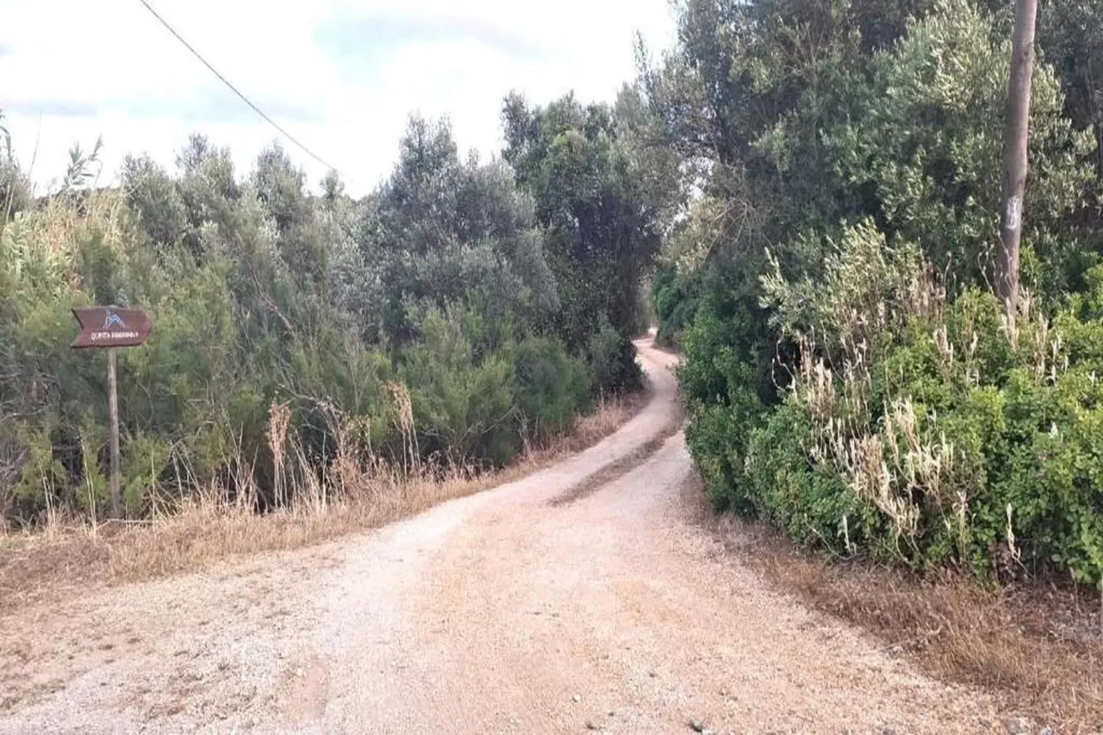 Dunas Douradas-Areas within 20km in summer