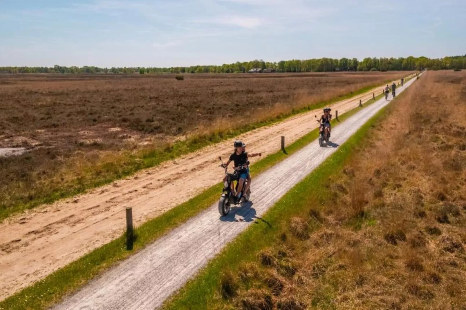 RCN Vakantiepark de Noordster 3-Areas within 20km in summer