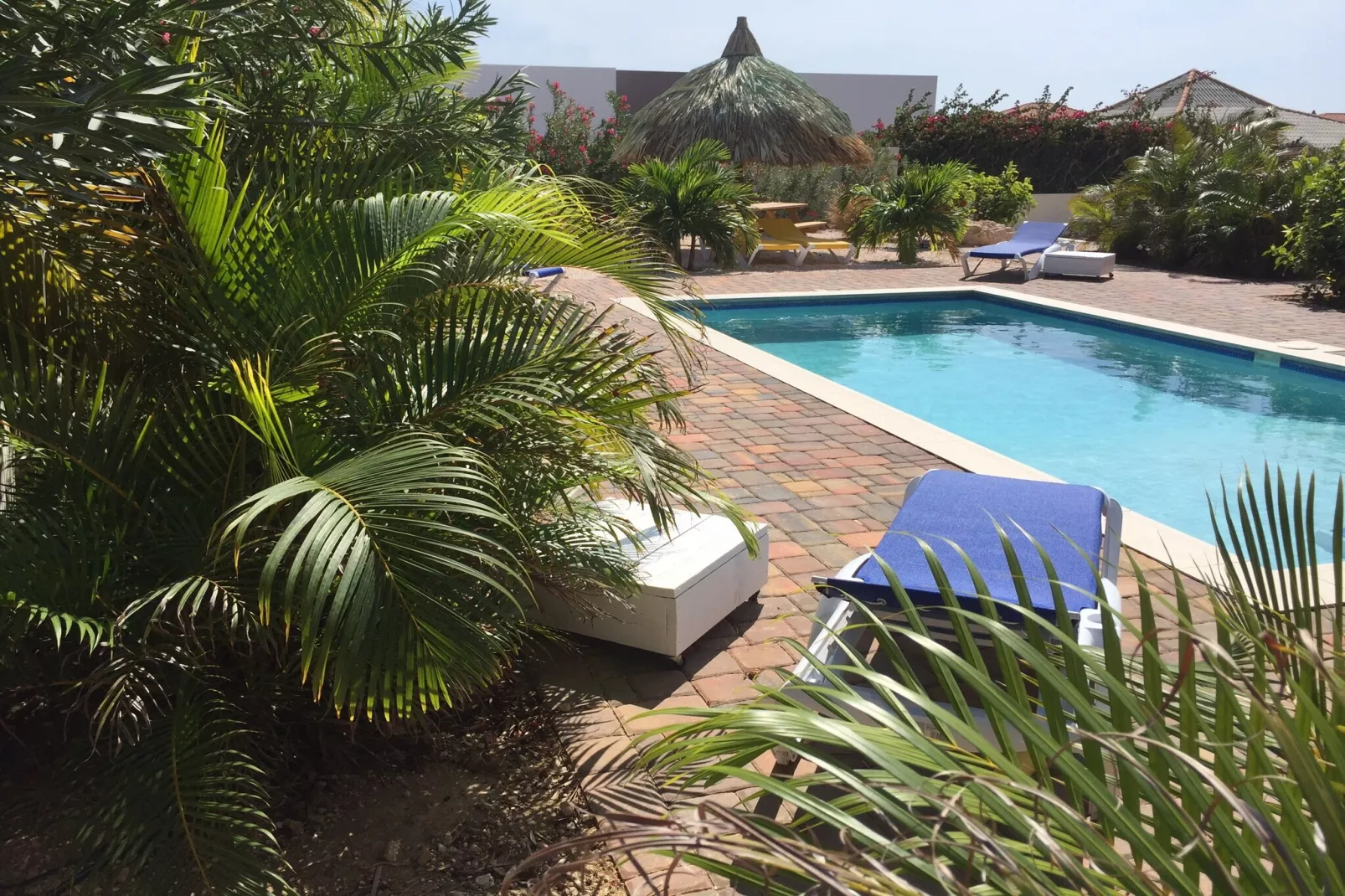 Villa Sonrisa Vista Royal-Swimming pool