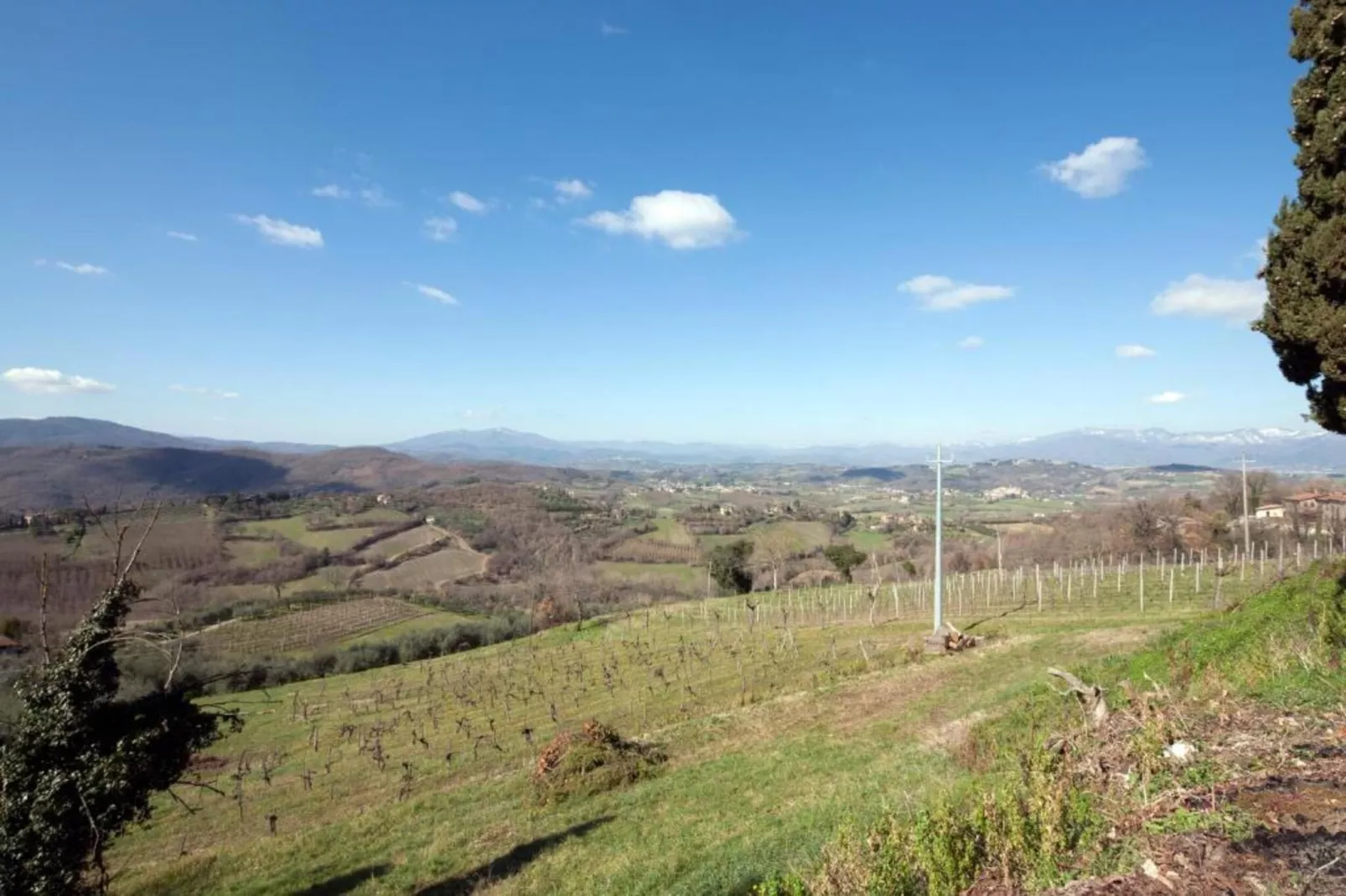 Rondine-Areas within 5km in summer
