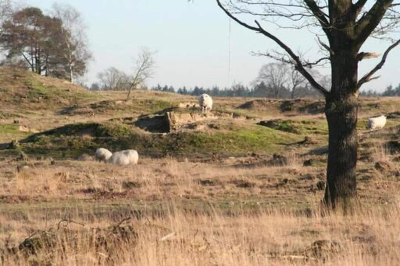Villa Zonnewijzer-Gebiete Sommer 20 km