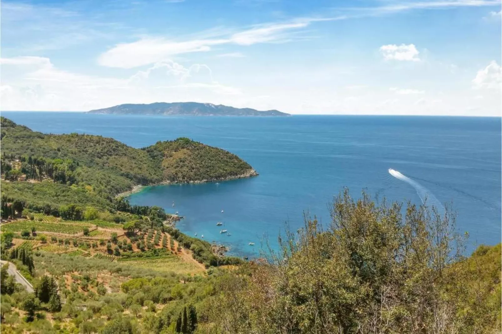 Saline-Areas within 1km in summer