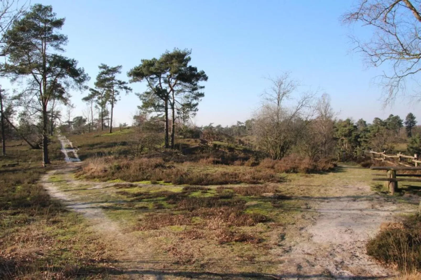 Vakantiepark Leukermeer 1-Gebiete Sommer 20 km