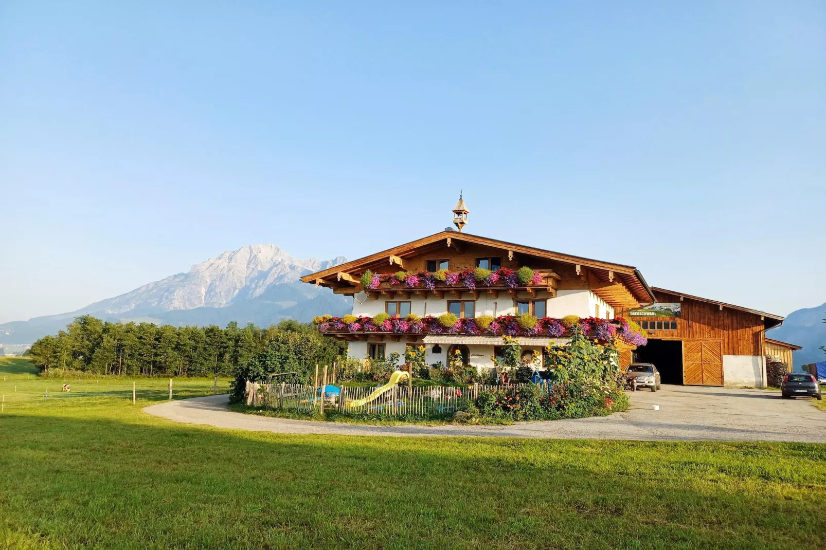 Ferienwohnung am Bio-Bauernhof-Exterior in summer