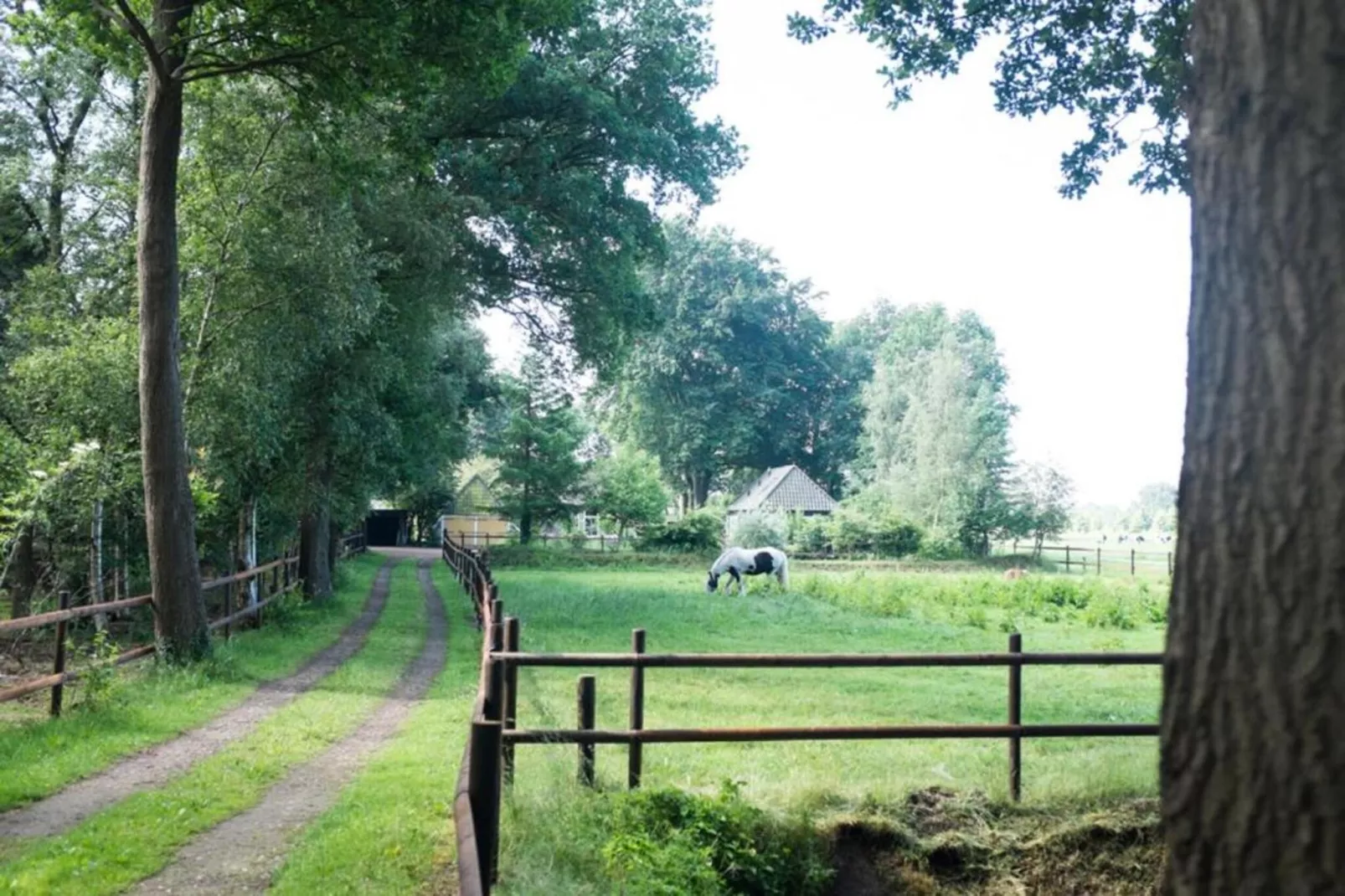 Buitenplaats Gerner 8-Gardens in summer