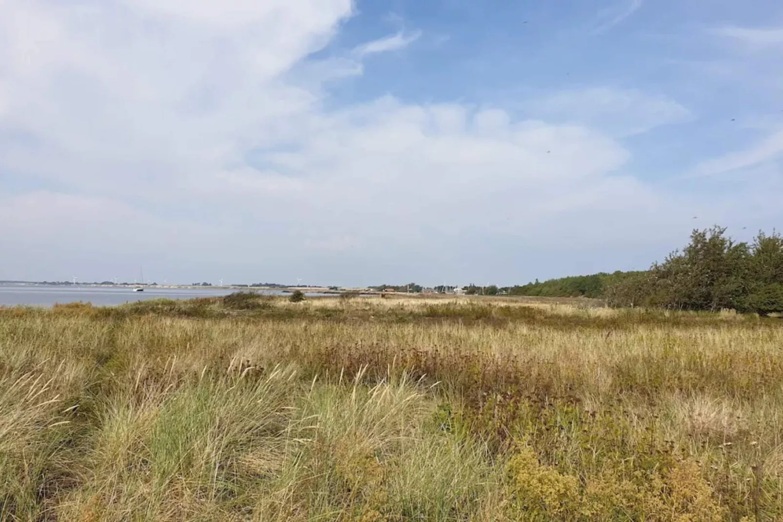 4 Personen Ferienhaus in Gedser-By Traum-Nicht zugeordnet