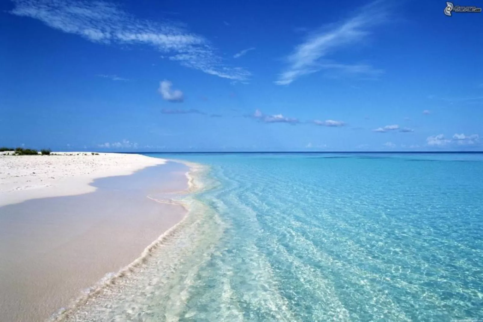 Casa La Bianca-Areas within 20km in summer