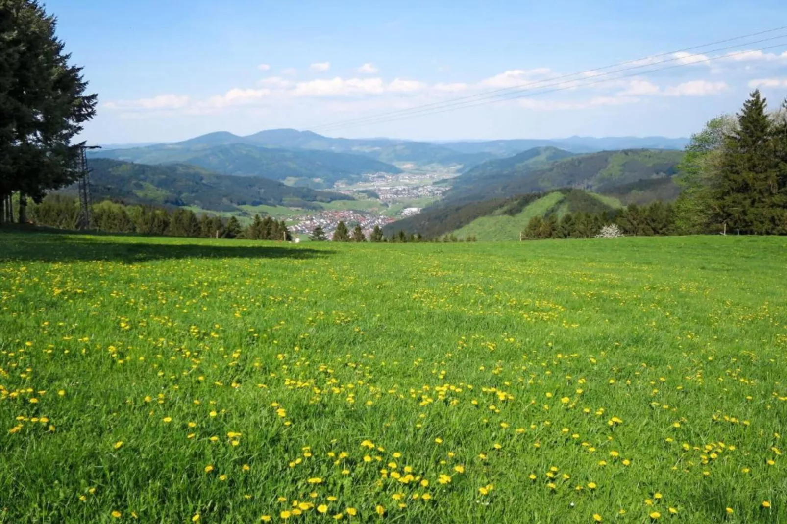 Im Ländle-Gebiete Sommer 20 km