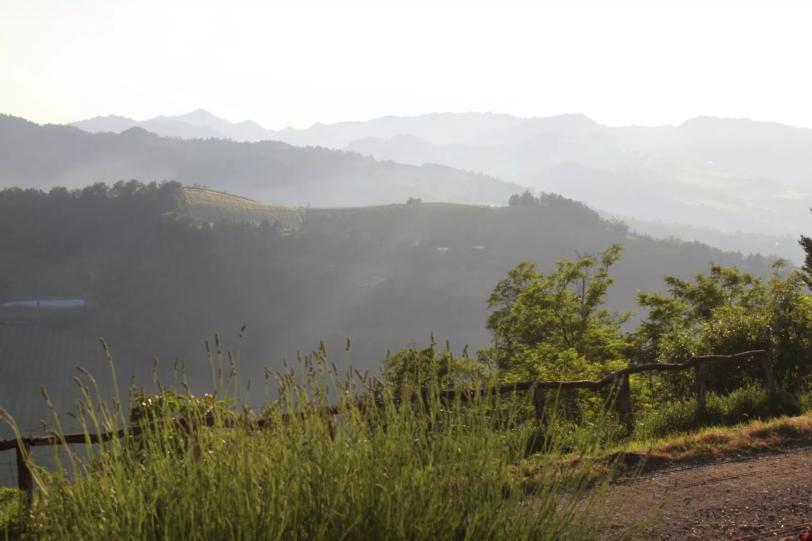 Appartamento Le Rondini-View in summer