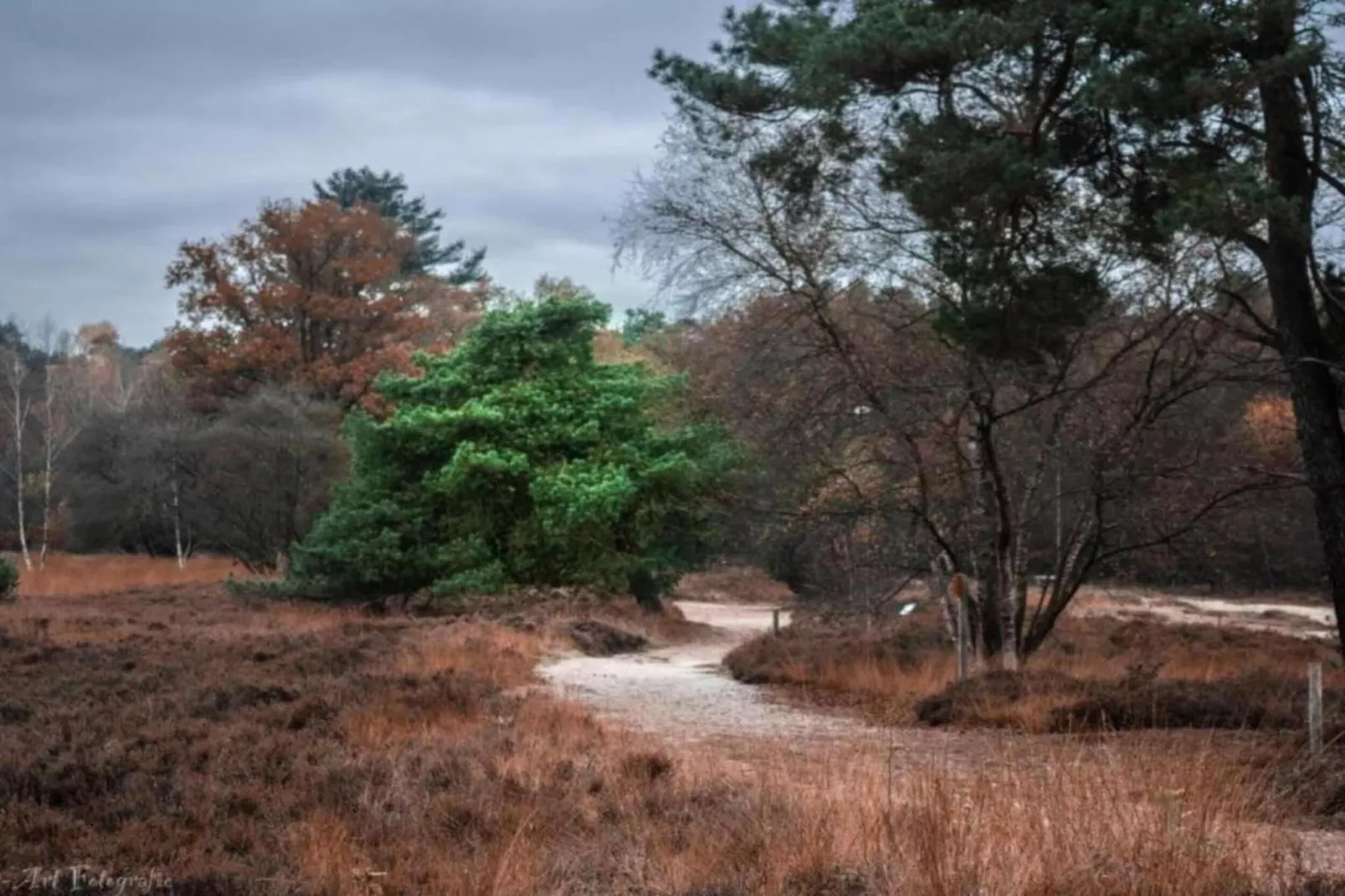 Hulshorsterhout-Areas within 20km in summer