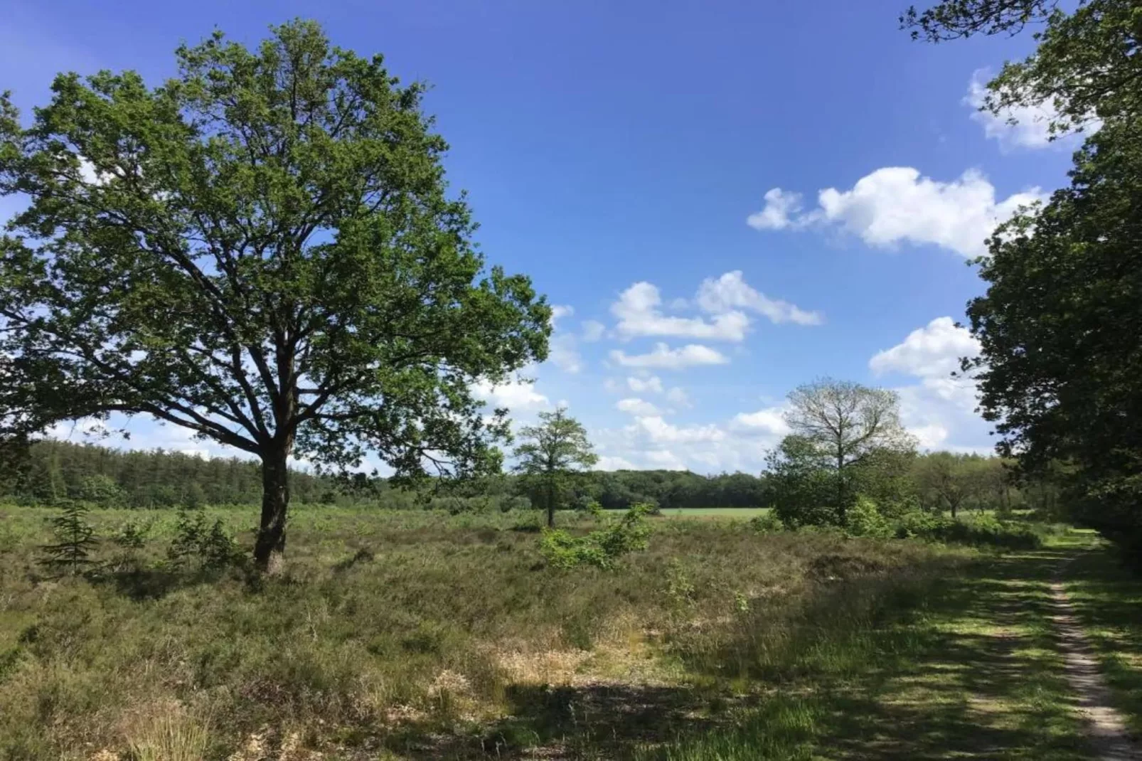 Acker Lodges 3-Gebiete Sommer 20 km