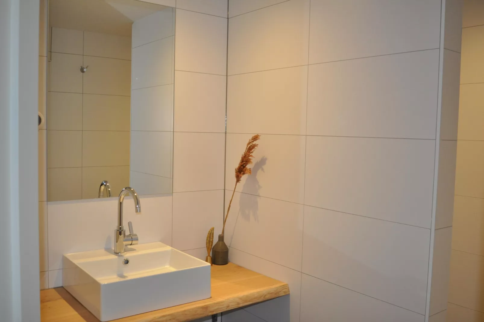 Dorpswoning De Volbloed-Bathroom